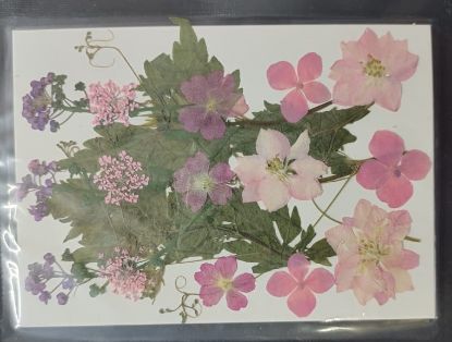 Picture of Pressed Flowers- 23