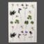 Picture of Floral Stickers  - B