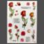 Picture of Floral Stickers  - H