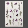 Picture of Floral Stickers  - I