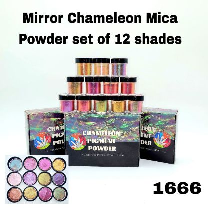 Picture of Mirror Chameleon Mica Powder set of 12 shades