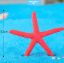 Picture of StarFish Miniature- 1 Pc- Red