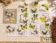 Picture of Transparent Sticker Cutouts-Butterfly Forest- Green