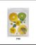 Picture of Pressed Fruit & Flower-1