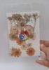 Picture of Pressed Flowers- 28