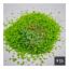 Picture of Light Green Moss / Grass [Flock powder]
