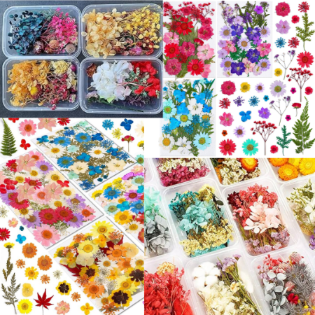 Picture for category Dried Flowers