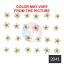 Picture of Cream plum blossom pressed flower