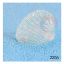Picture of Small Shell B Miniature- Transparent White