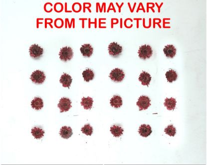 Picture of 24PCS Mini dried Sunflower- Red