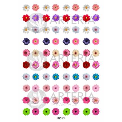 Picture of Insert Sheet- Coloured  Daisy Flower