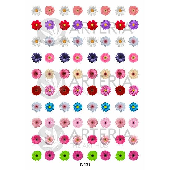 Picture of Insert Sheet- Coloured  Daisy Flower