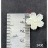 Picture of Pearl White Flower - Pack of 10