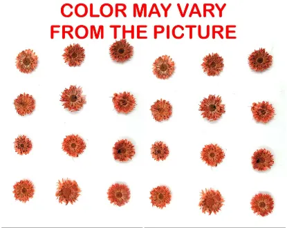 Picture of 24PCS Mini dried Sunflower- Orange