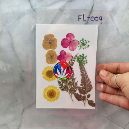 Picture of 10 IN 1 Pressed Flower FL009